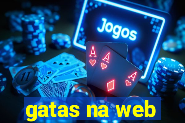 gatas na web